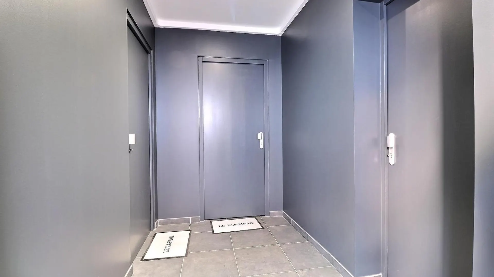 Le Zanzibar - Lovely Bright Apartment - Villeurbanne